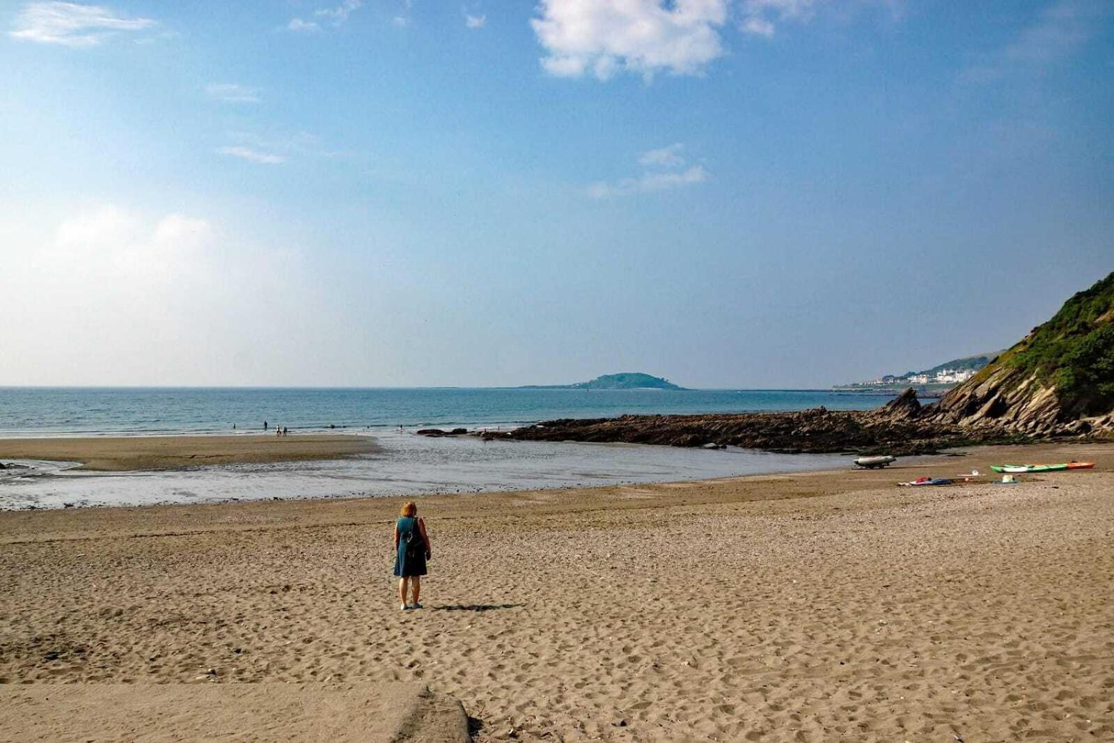 Pet Friendly Sea View Villa Millendreath ルー エクステリア 写真