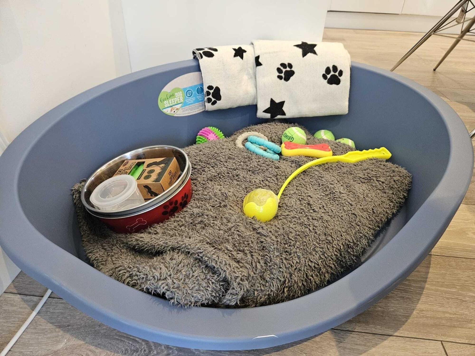 Pet Friendly Sea View Villa Millendreath ルー エクステリア 写真