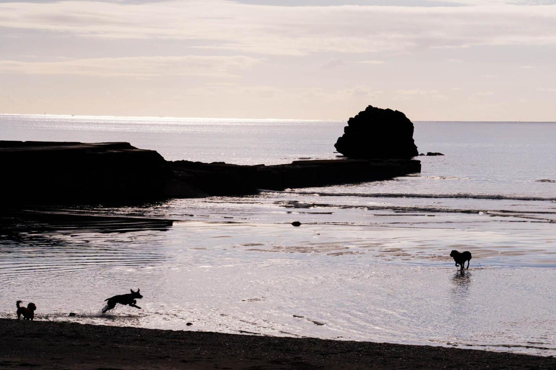 Pet Friendly Sea View Villa Millendreath ルー エクステリア 写真